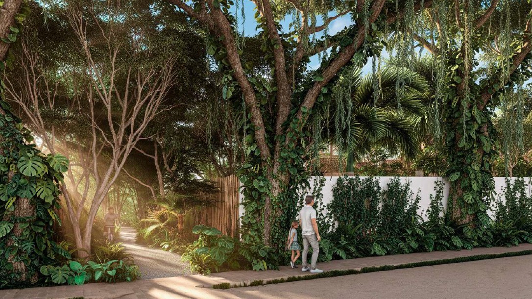 Lula Sanctuary — jungle walkways