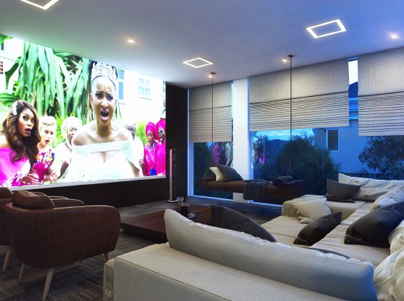 Media room / home cinema